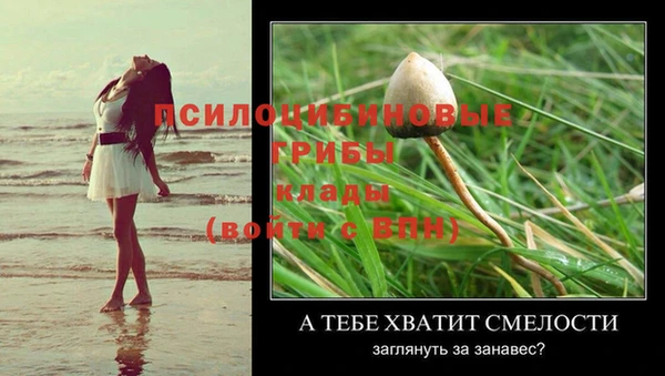 не бодяженный Зерноград