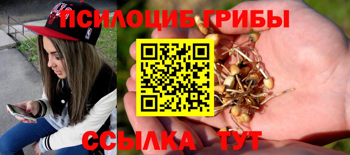 Галлюциногенные грибы прущие грибы Карасук