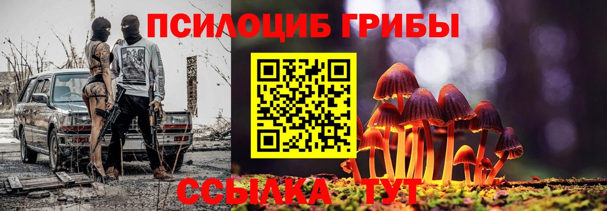 Псилоцибиновые грибы мухоморы  Вход с VPN  Галлюциногенные грибы Cubensis  Карасук 