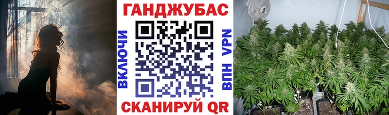 Каннабис OG Kush Карасук